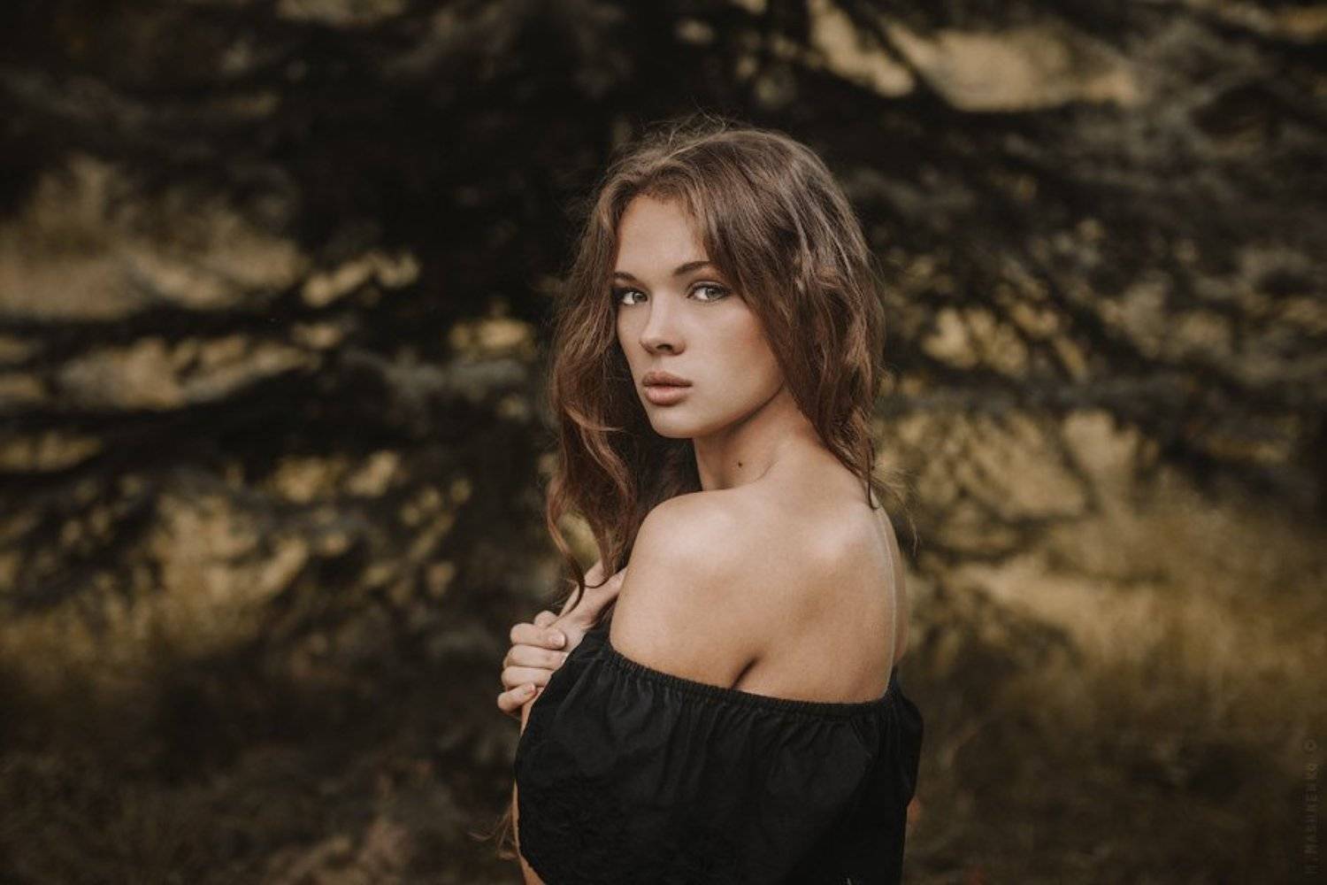 , Машненко Максим