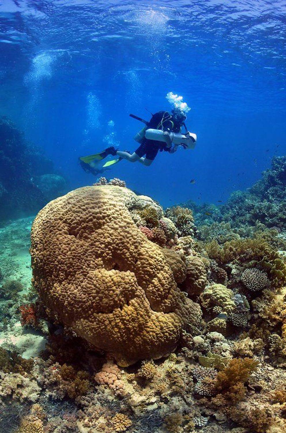 , Евгений Варнавский