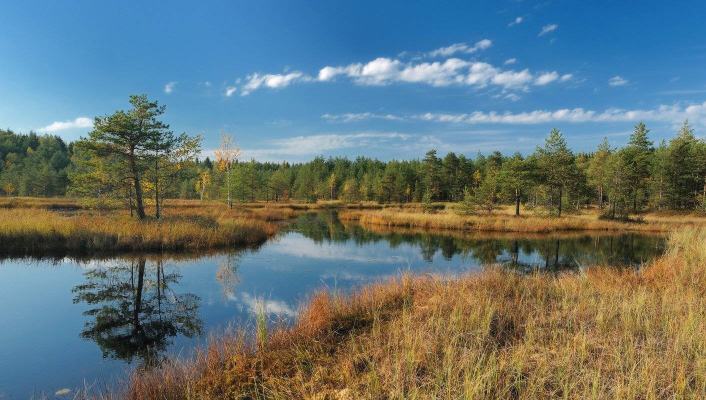 , Сергей Седов