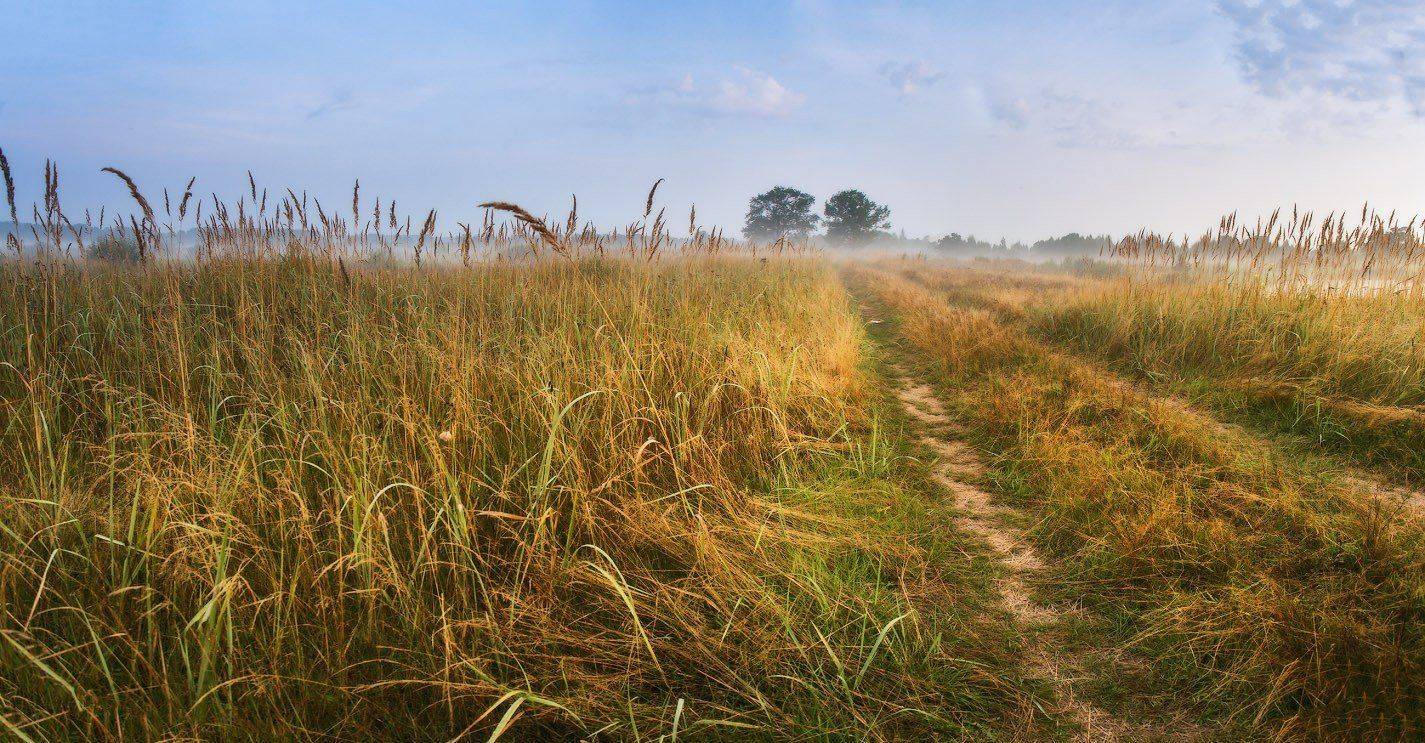 , Вейзе Максим