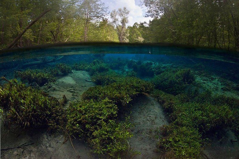 николаев, эдуард Сплит с Зеленого ключа. фото превью