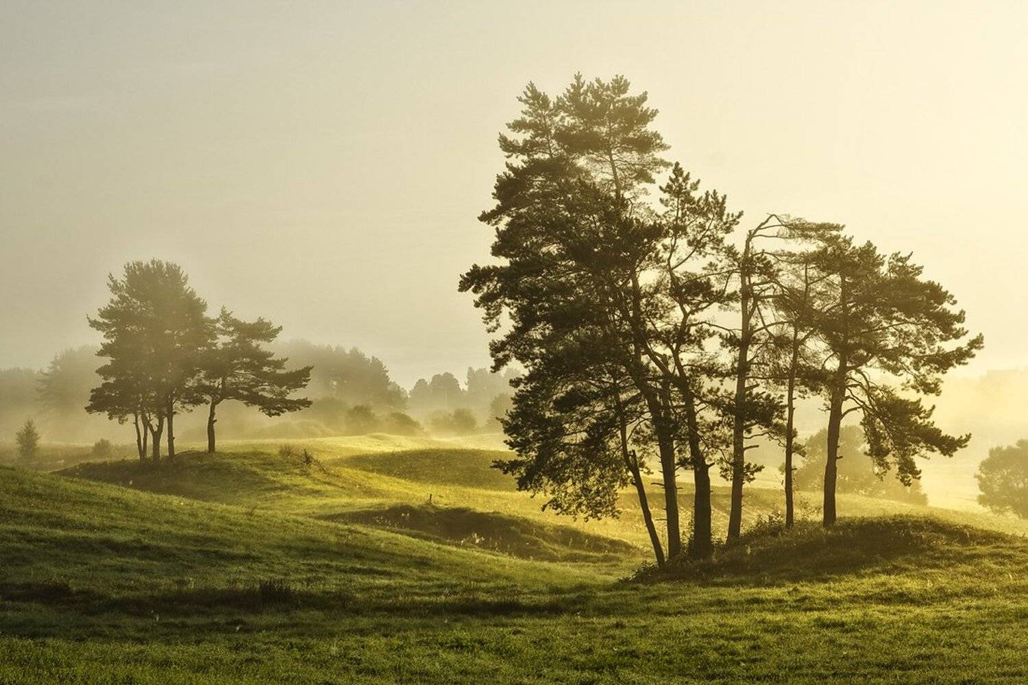 , Rimantas Bikulcius