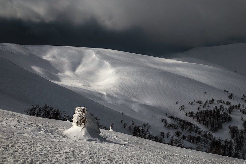 Снежная невеста фото превью