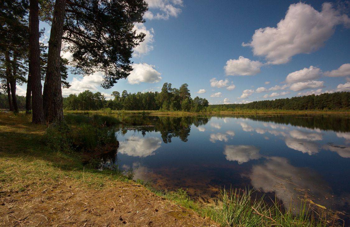 , Володимир Карчевський