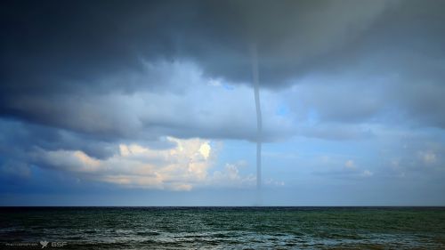 Природа тоже любит пошутить! :)