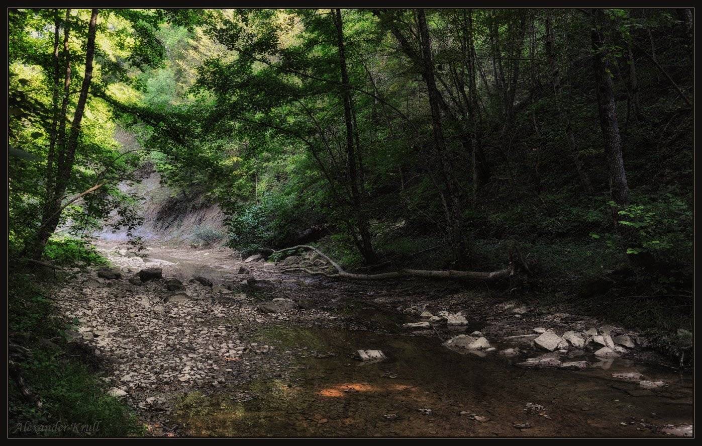лес, речка, кавярзе, Александр Круль