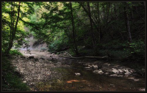 В дебрях Кубанских предгорий...