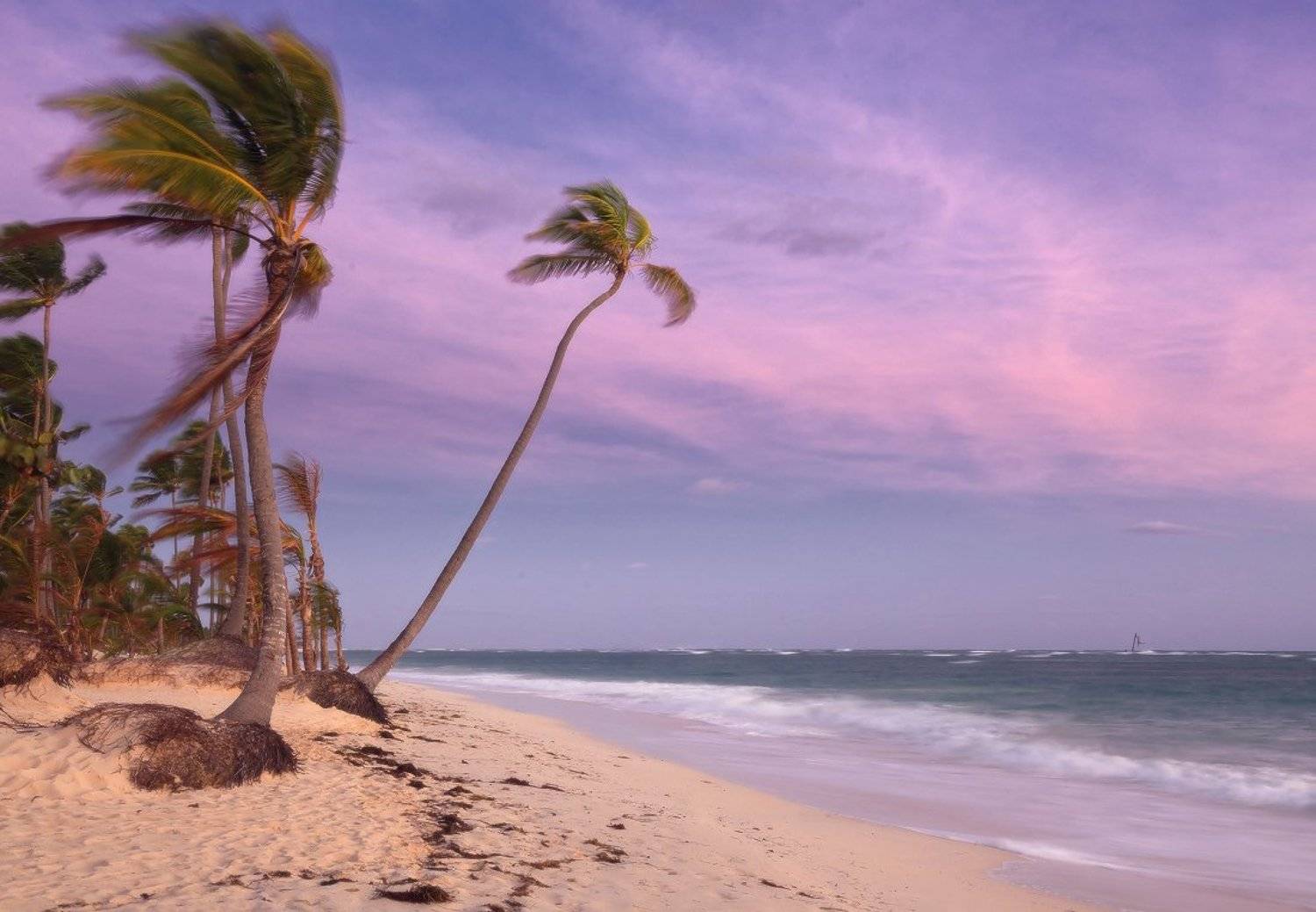 берег, песок, пальмы, ветер, океан, рассвет, утро, облака, доминикана, атлантика, Георгий Машковцев