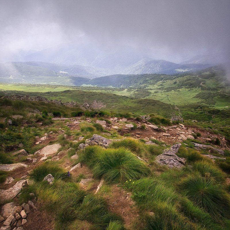 Говерла, Горы, Карпаты Вид с Говерлы фото превью