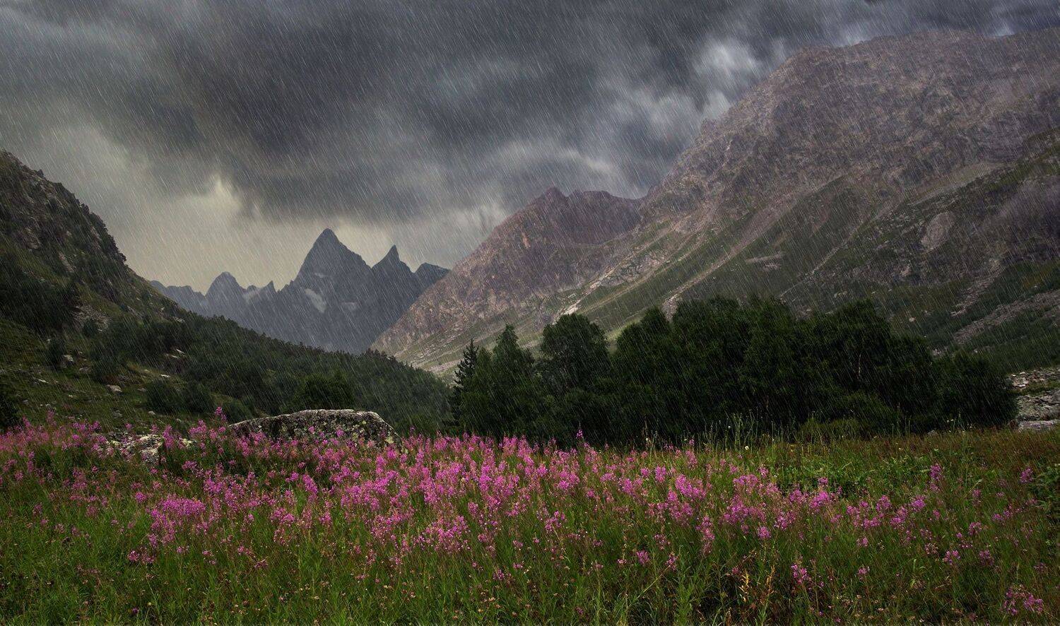 , Милокост Алексей