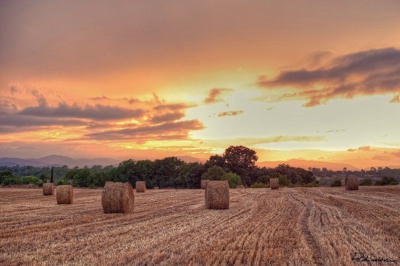 Испанские поля фото превью
