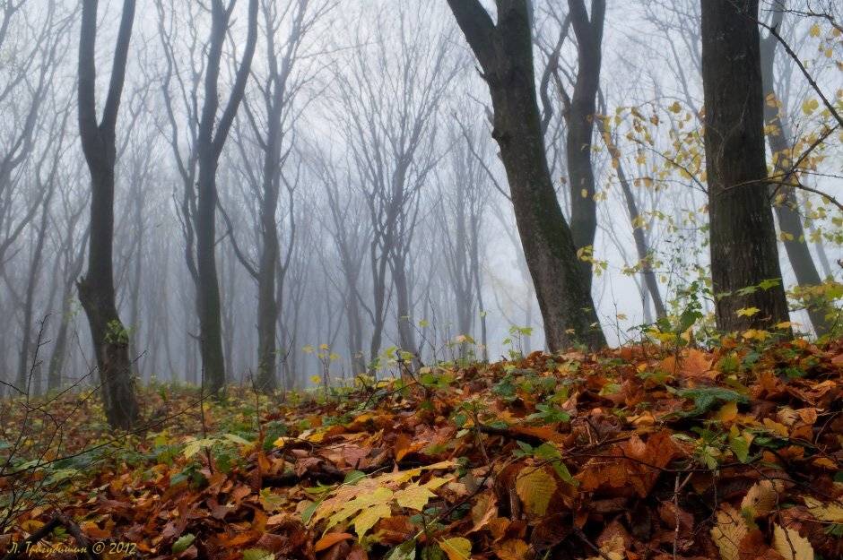 , Любомир Тригубишин