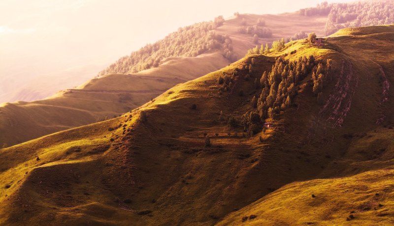 Золотой рассвет. фото превью