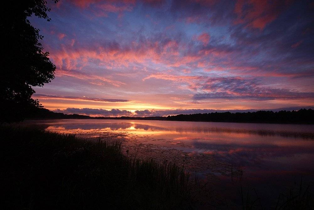 , Владислав.