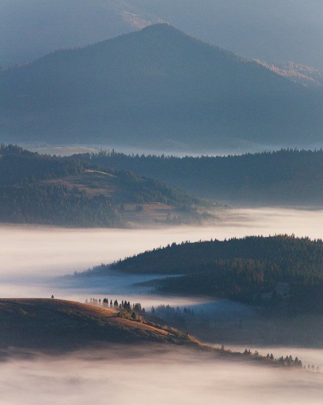 Карпаты, Пейзаж, Туман, Украина, Утро  фото превью
