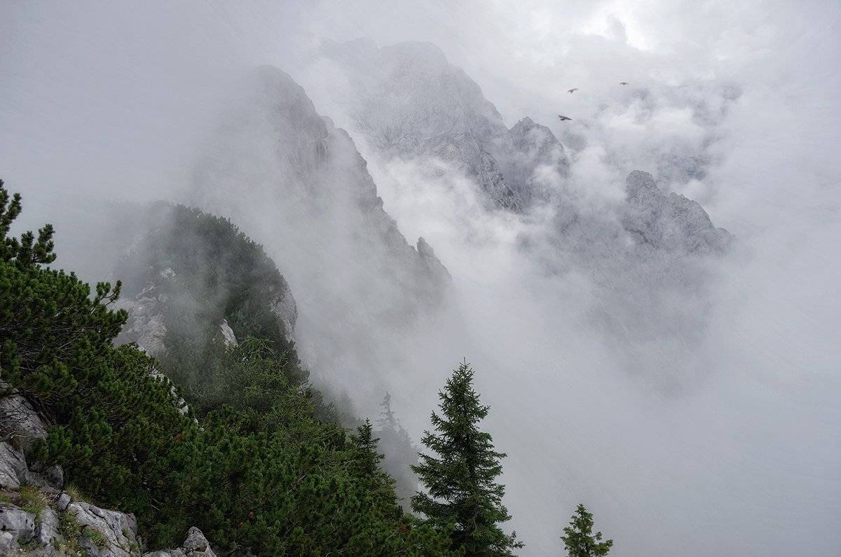 , Игорь Мелекесцев