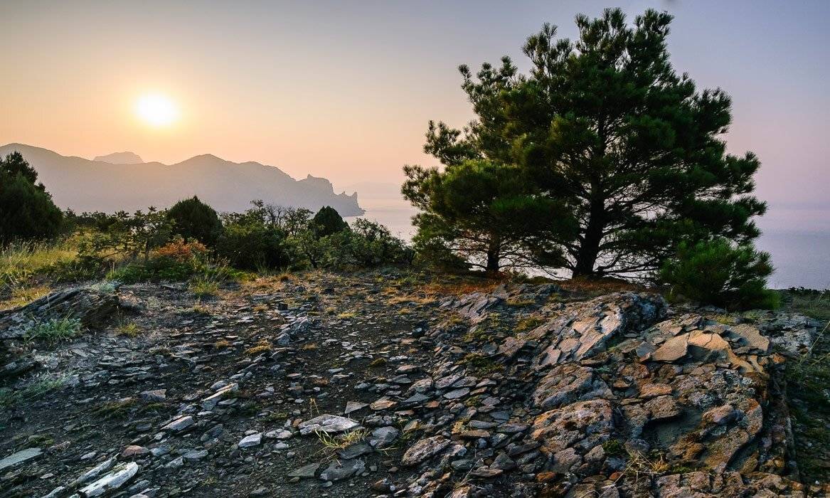 , Маркович Михаил