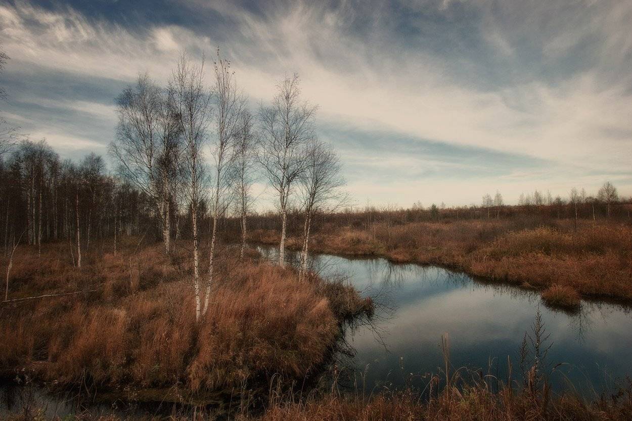 , Владимир Липецких