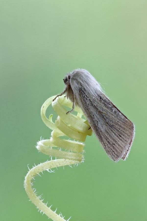 , Сергей Таланов