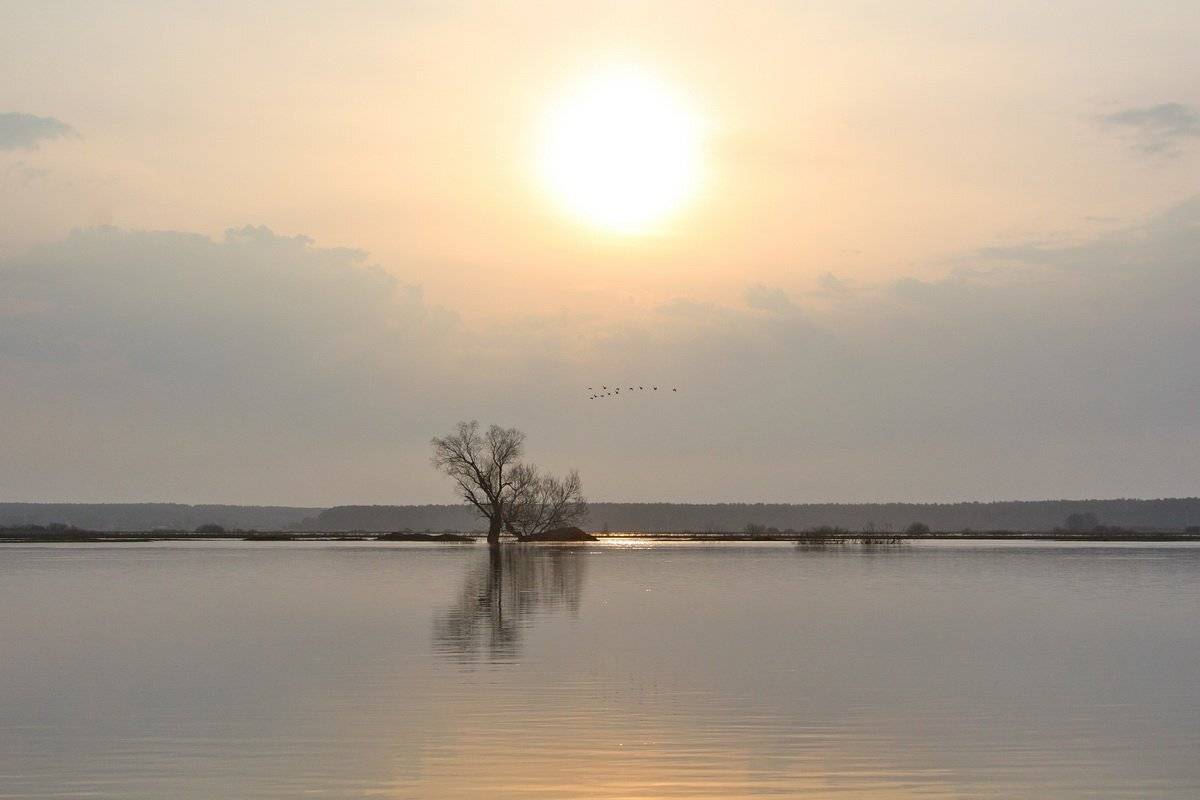 , Валерий Кондратов