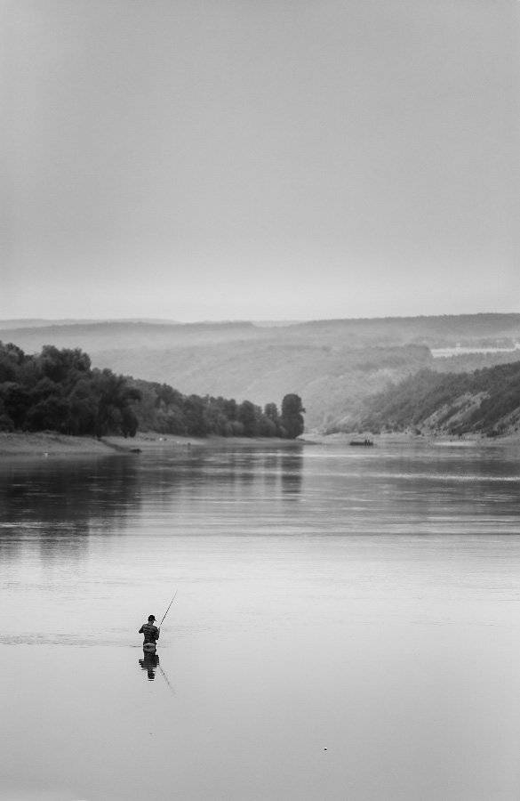 , Вейзе Максим