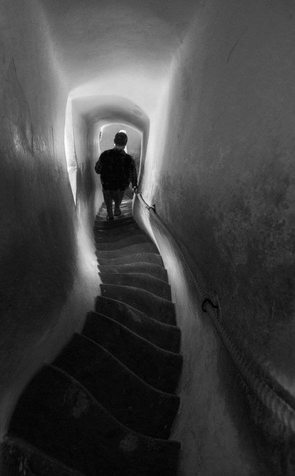 , Людмила Прокофьева