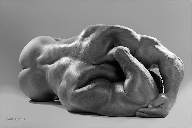 leo... фото превью