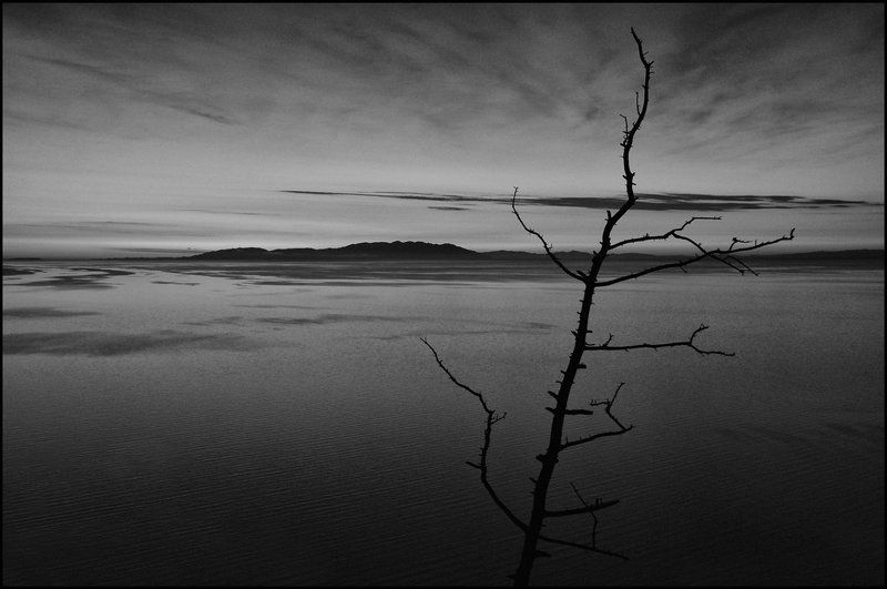 Картинки яркого озера фото превью