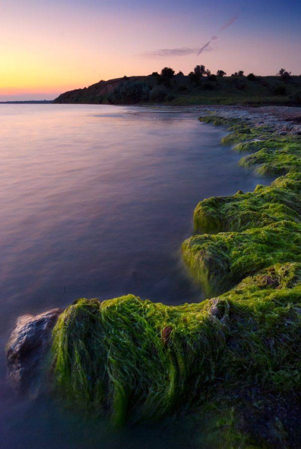 , Сорокин Олег