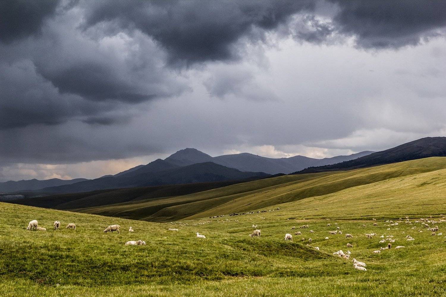 , Сергей Теректі