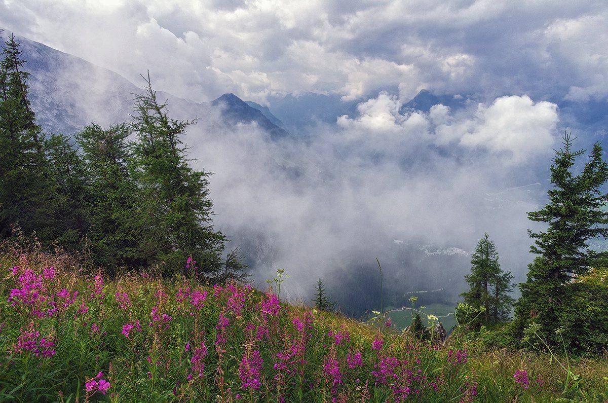 , Игорь Мелекесцев