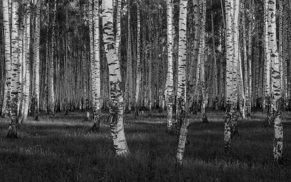 , Игнат Цоколаев