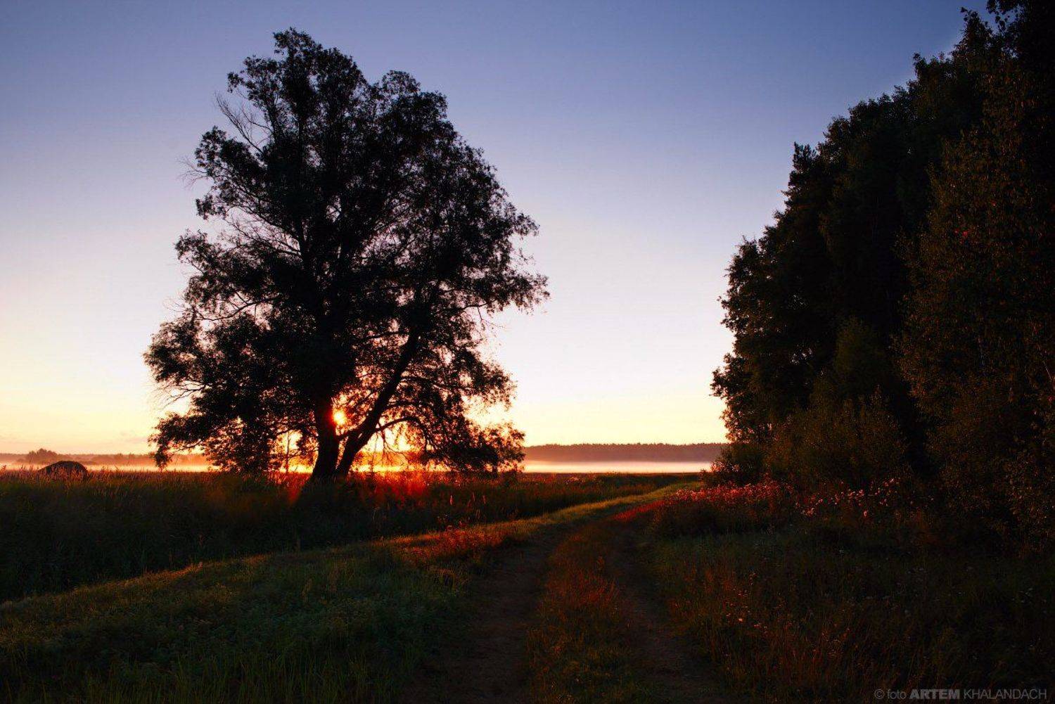 , Артем Халандач