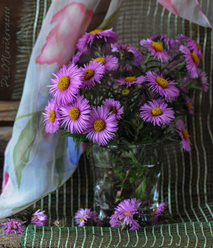 *** фото превью