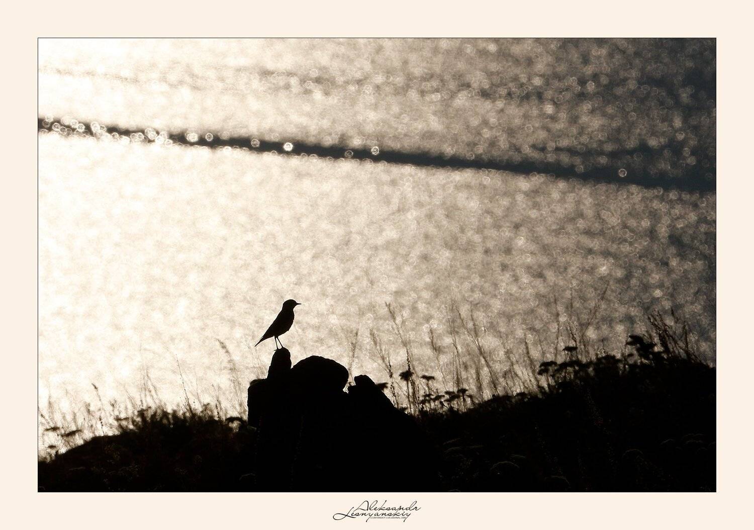 байкал, Александр Леснянский