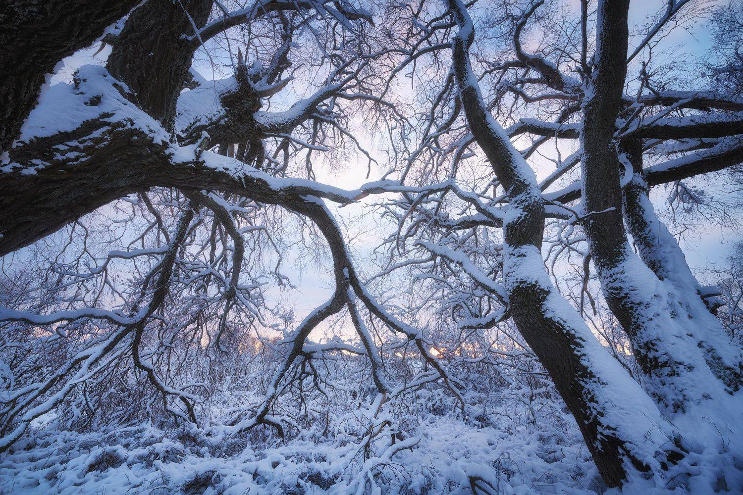 , Антон Кононов