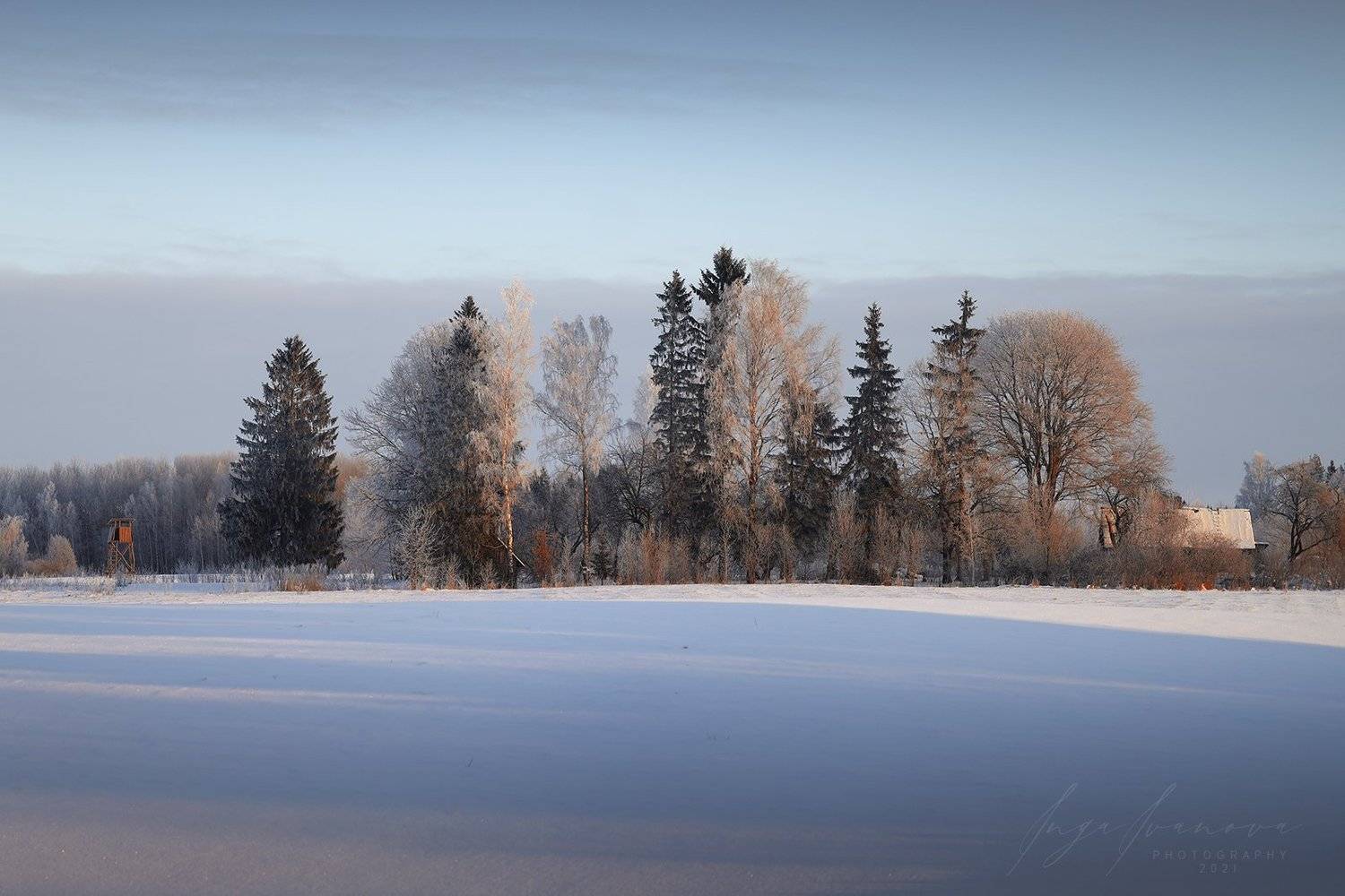 , Инга Иванова