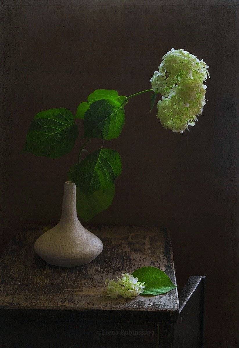 , Елена Рубинская