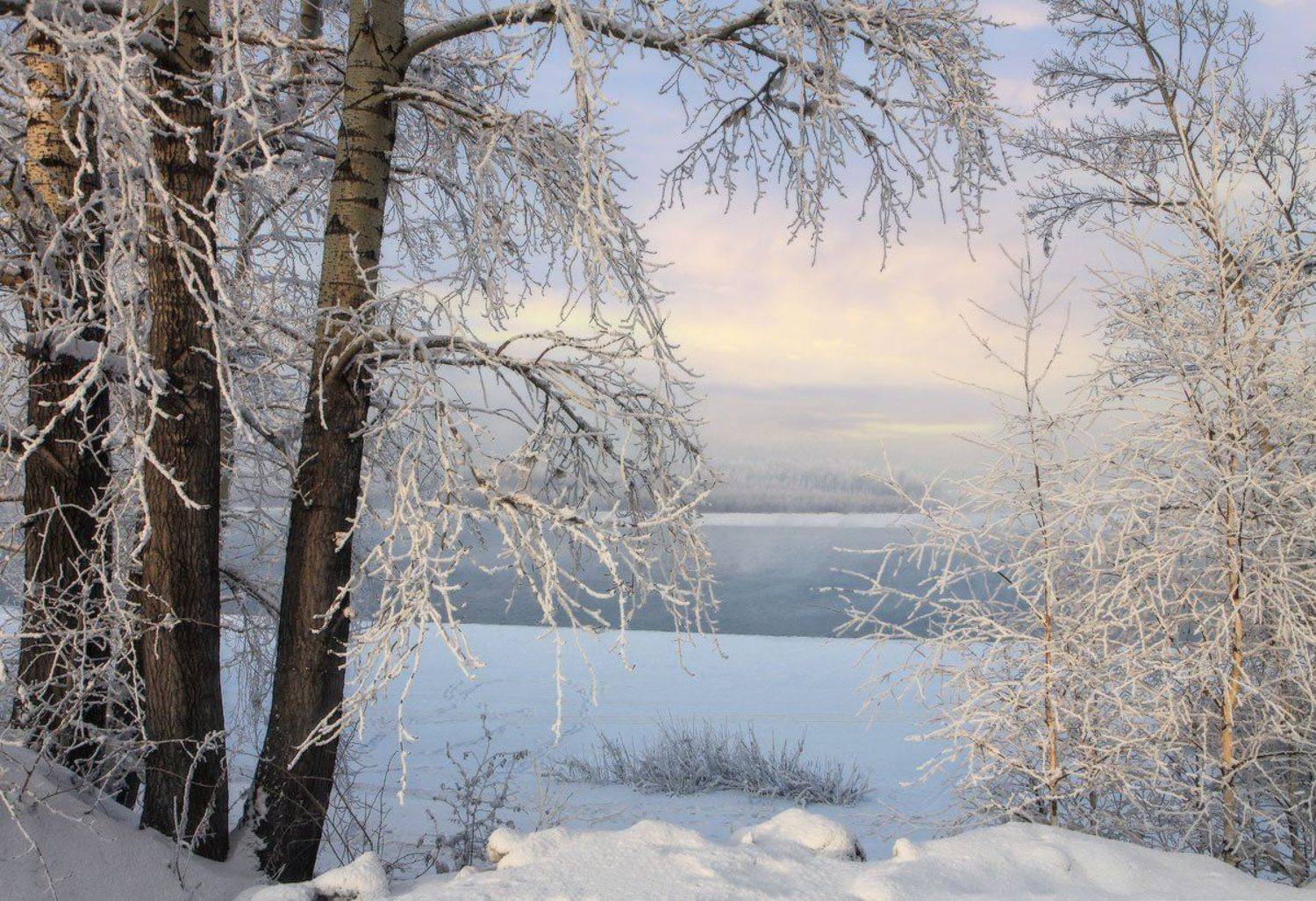 кузбасс, новокузнецк, томь, Галина Хвостенко