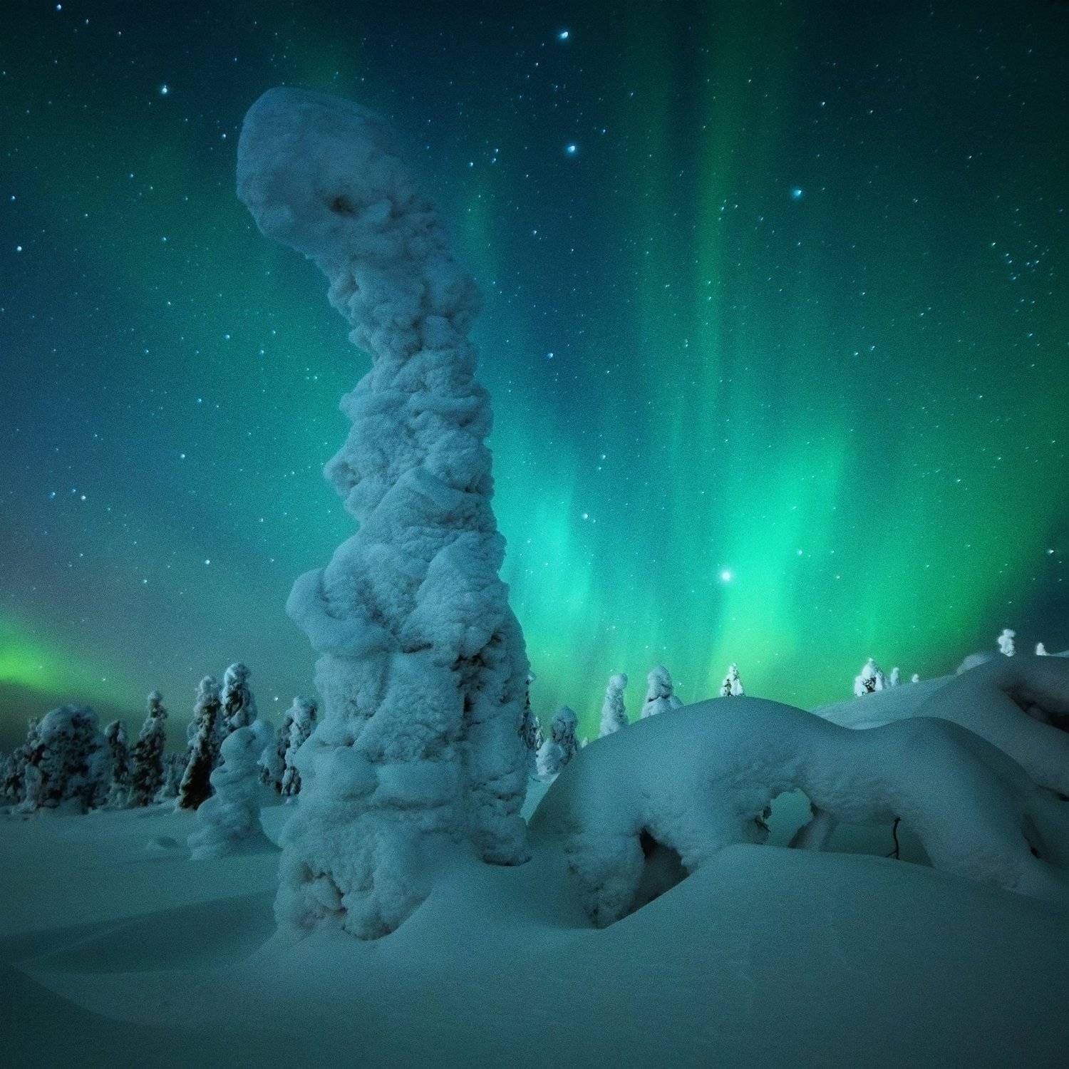 , Попрошаев Сергей