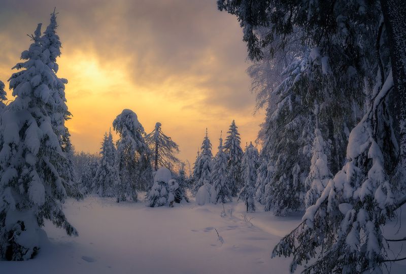 Морозное утро фото превью