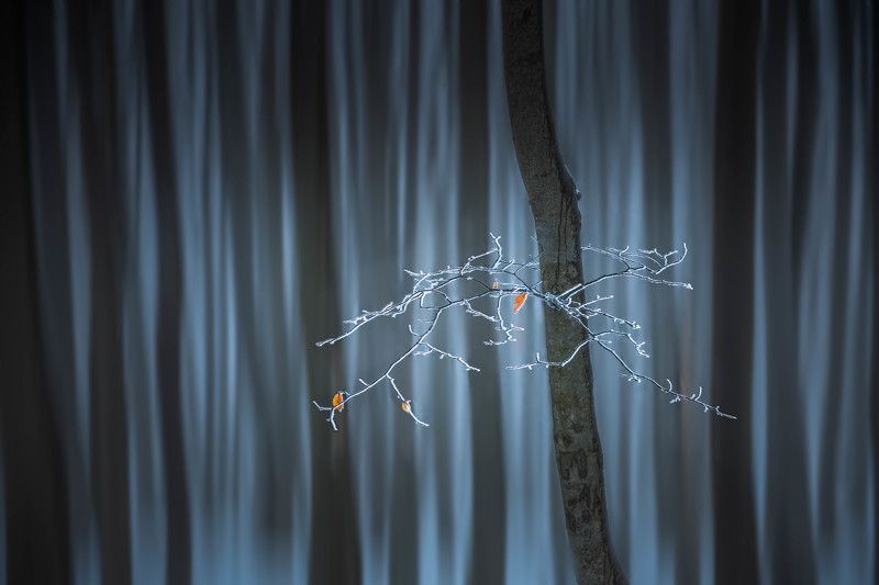 #nature Alone between all фото превью