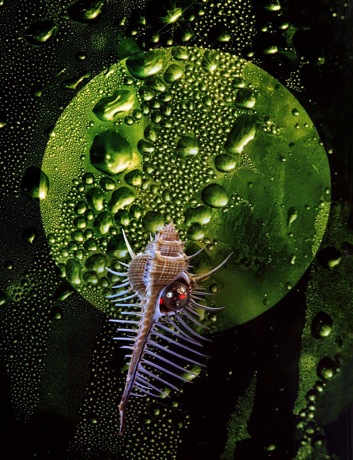 , Владимир Краснов