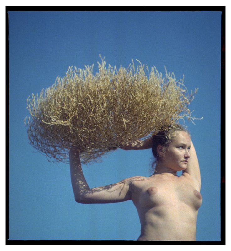 #film #medium format #panoramic camera #nida Tumbleweed фото превью