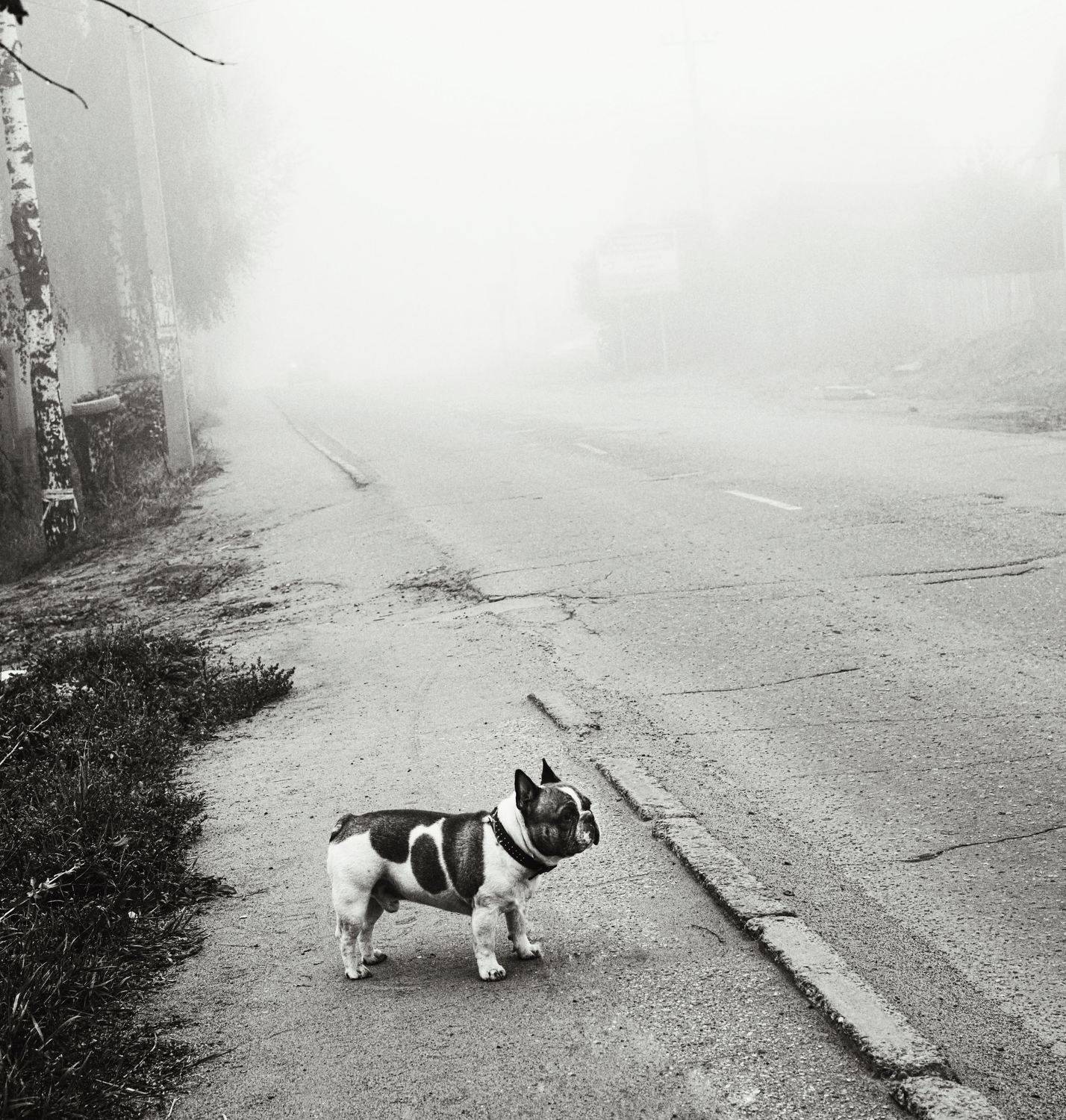 , Лариса Лофицкая