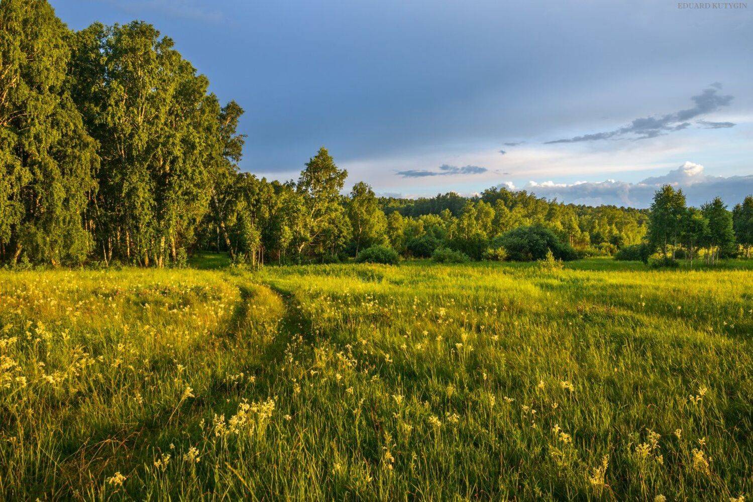 Зауралье Шадринск, Кутыгин Эдуард