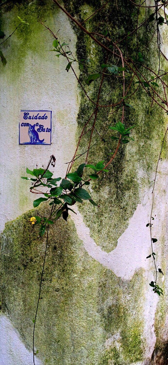 Street/Reportage, Still Life, Carlos Machado