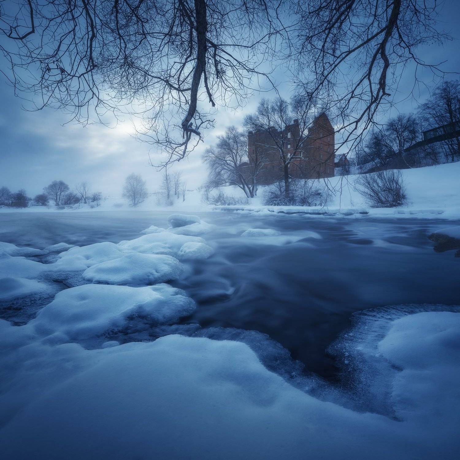 , Анна Политова