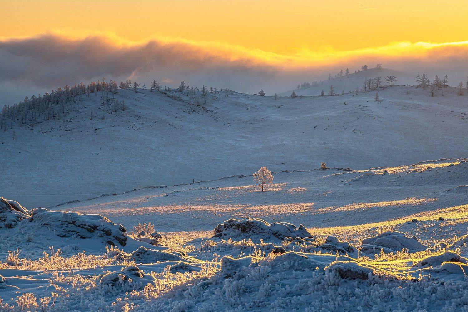 зима,снег,рассвет, туман, тажеранская степь, Алексей Чекалев