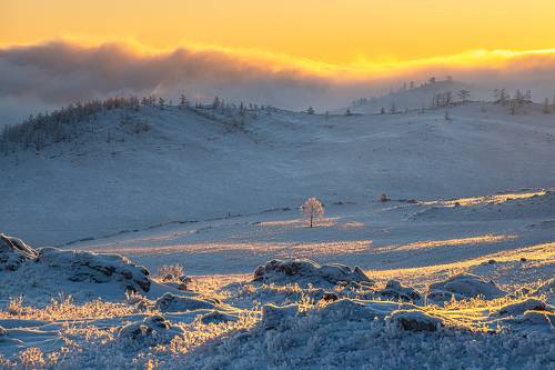 Утро в Тажеранской степи